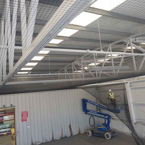 Bird netting being installed in a warehouse