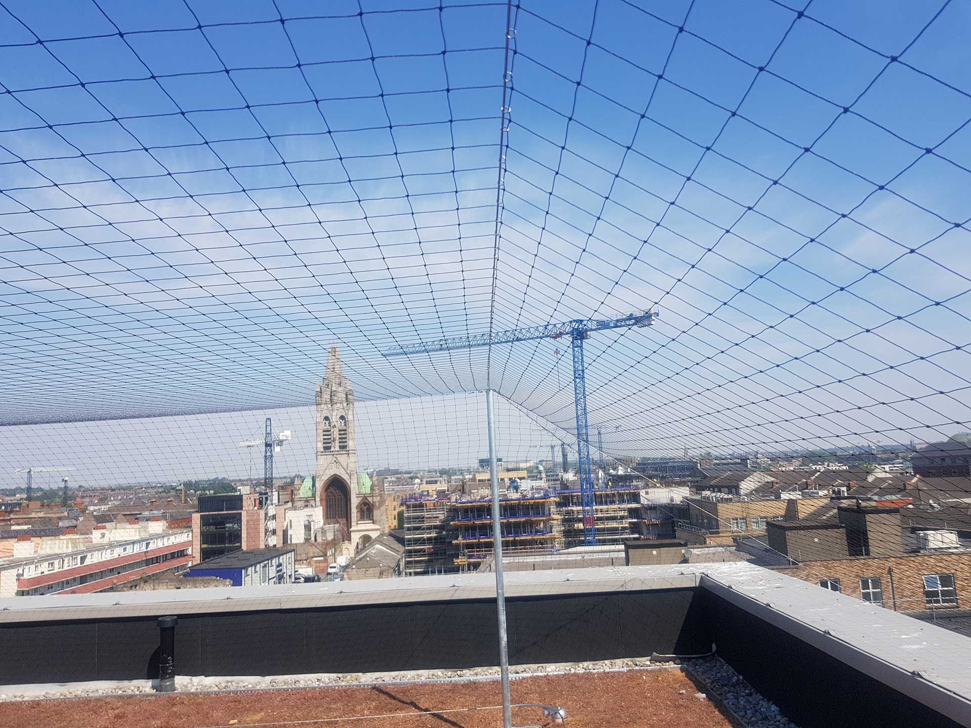 Bird netting installed in Dublin