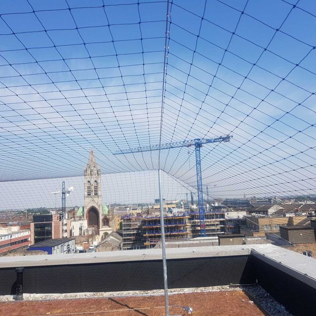 Bird netting installed in Dublin