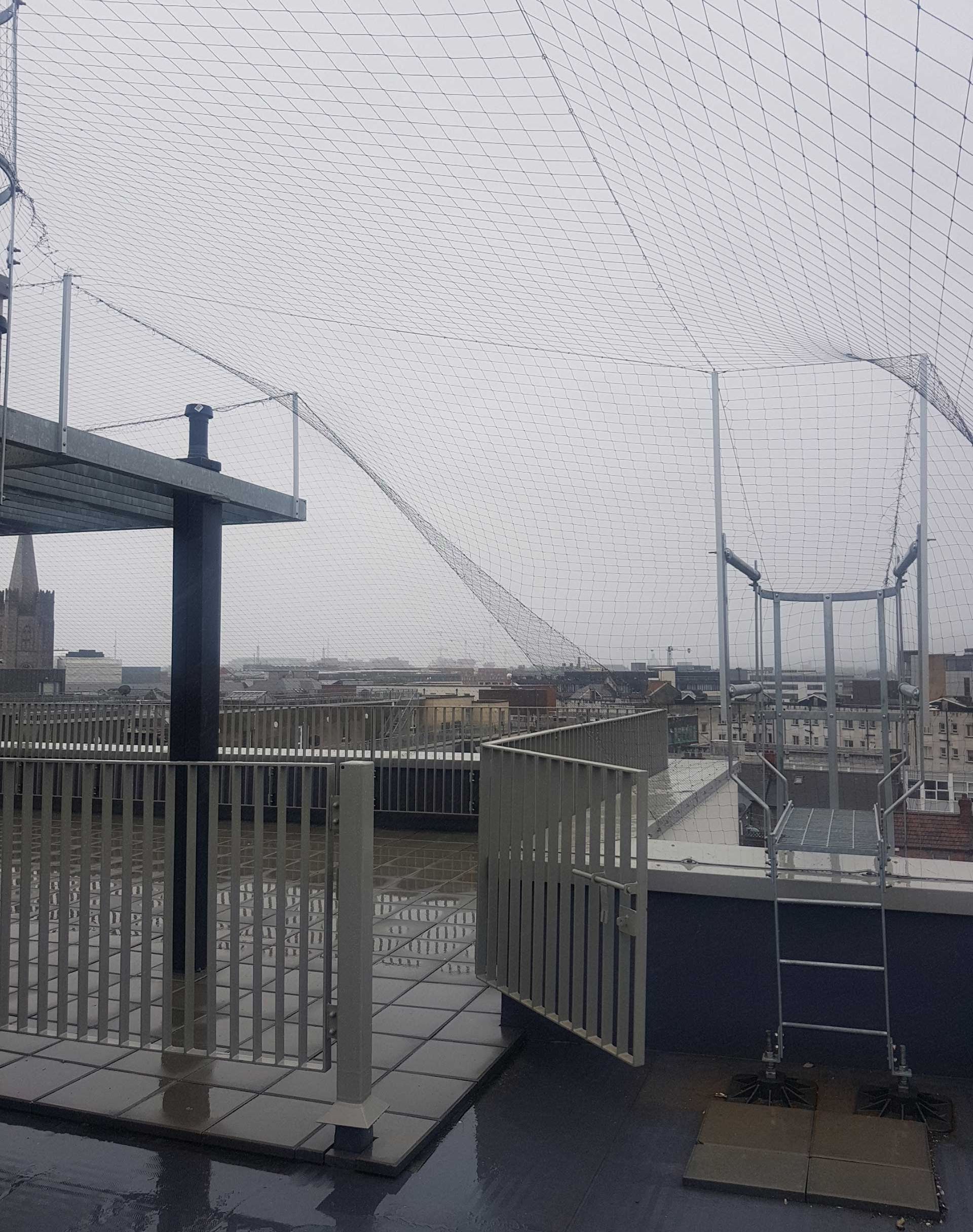 Bird netting installed over a building roof