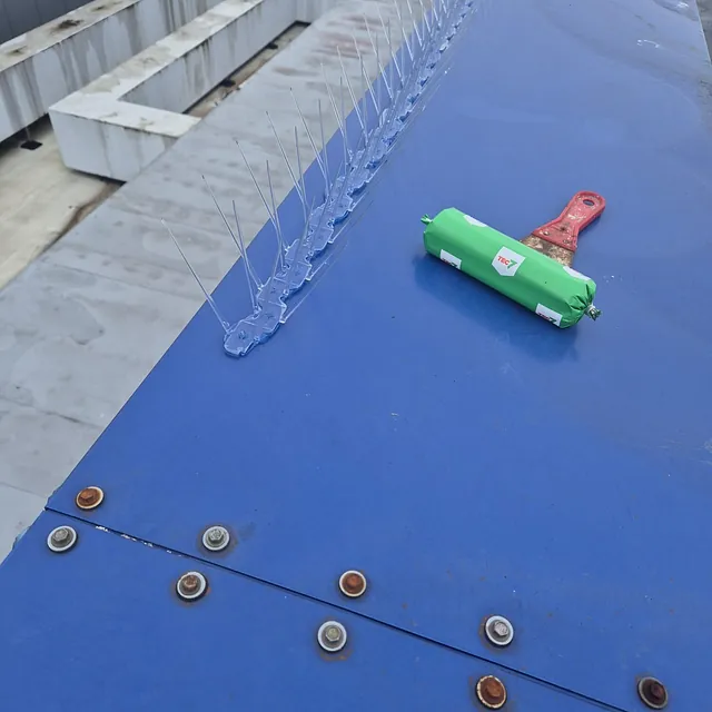 stainless spike spikes