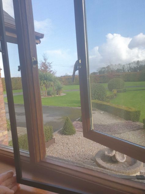 transparent fly screen installed over a window screen