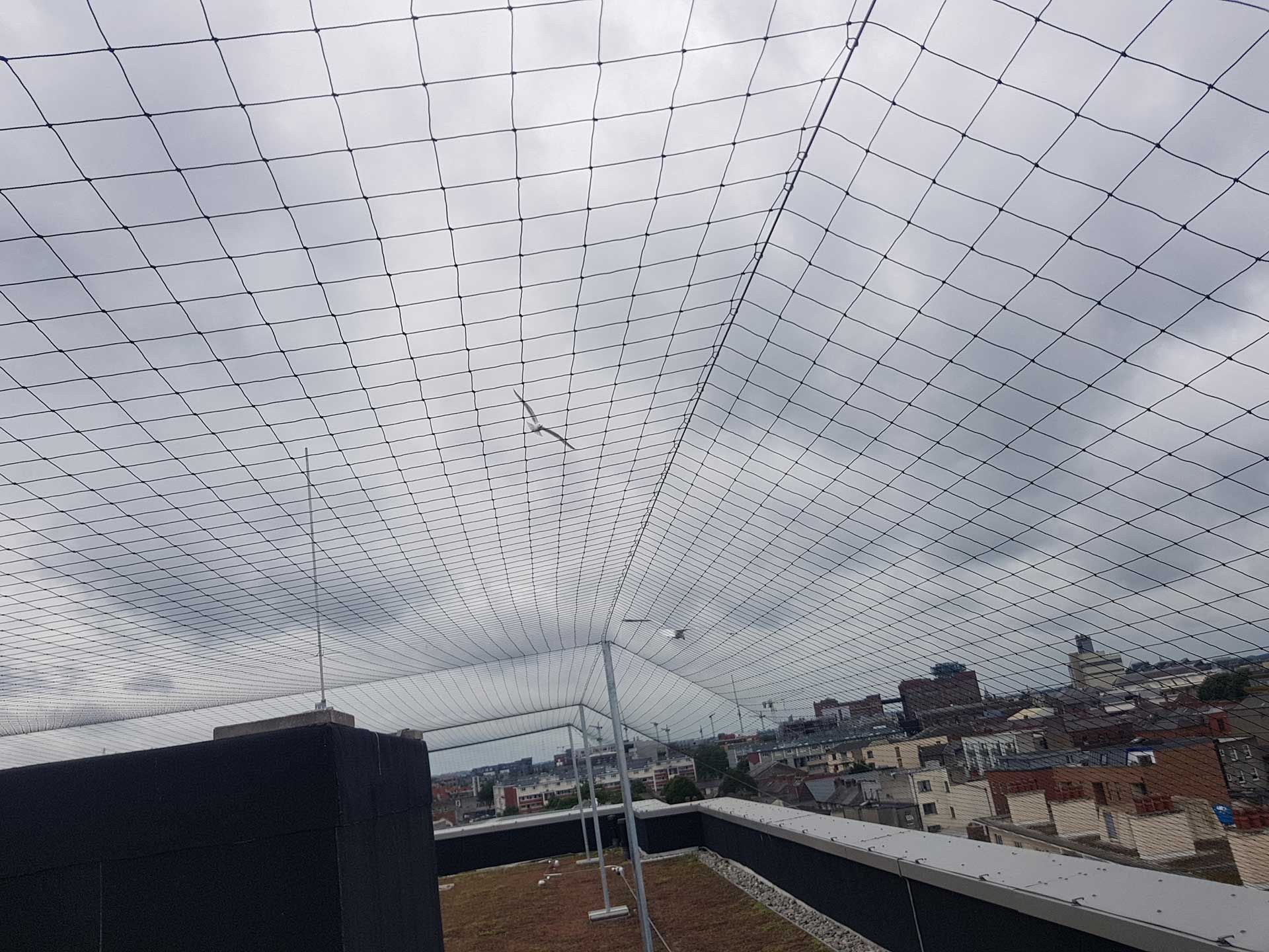 Bird net