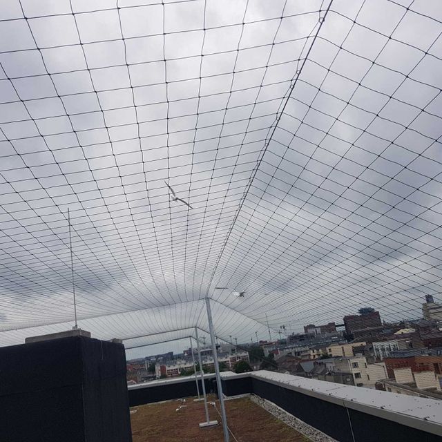 Bird net