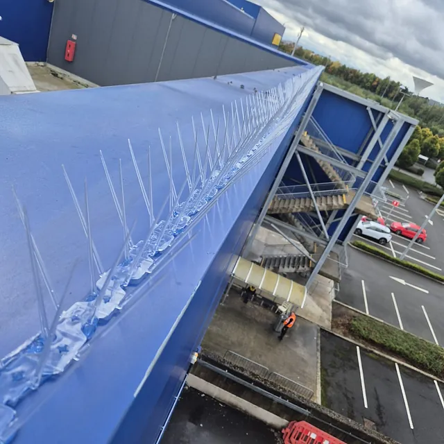 stainless spike spikes